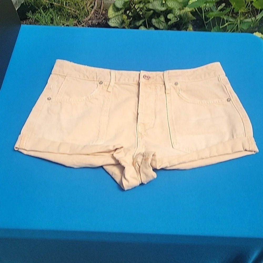 Free People We the Free Beginner's Luck Slouch Shorts, NWT Sz 30